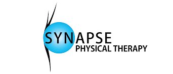 synapse